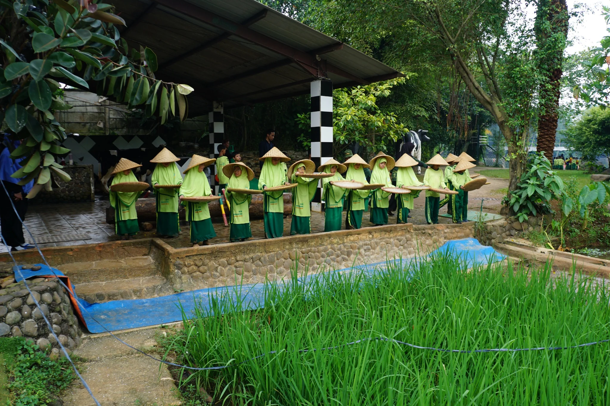 Kegiatan belajar dari alam di area persawahan